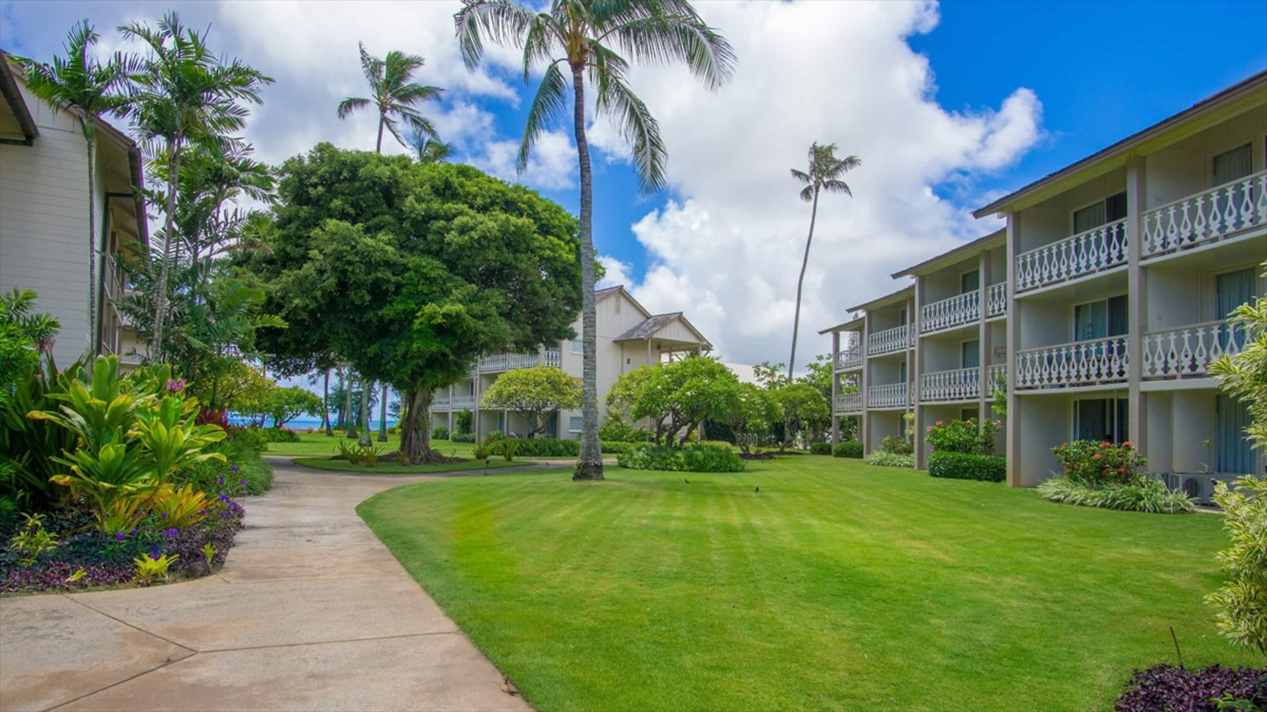 Stylish Kauai Condo on the Beach - Photo 42