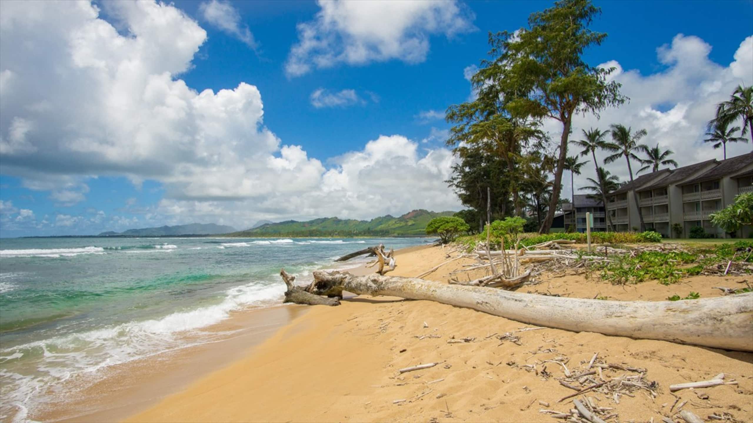 Stylish Kauai Condo on the Beach - Photo 44