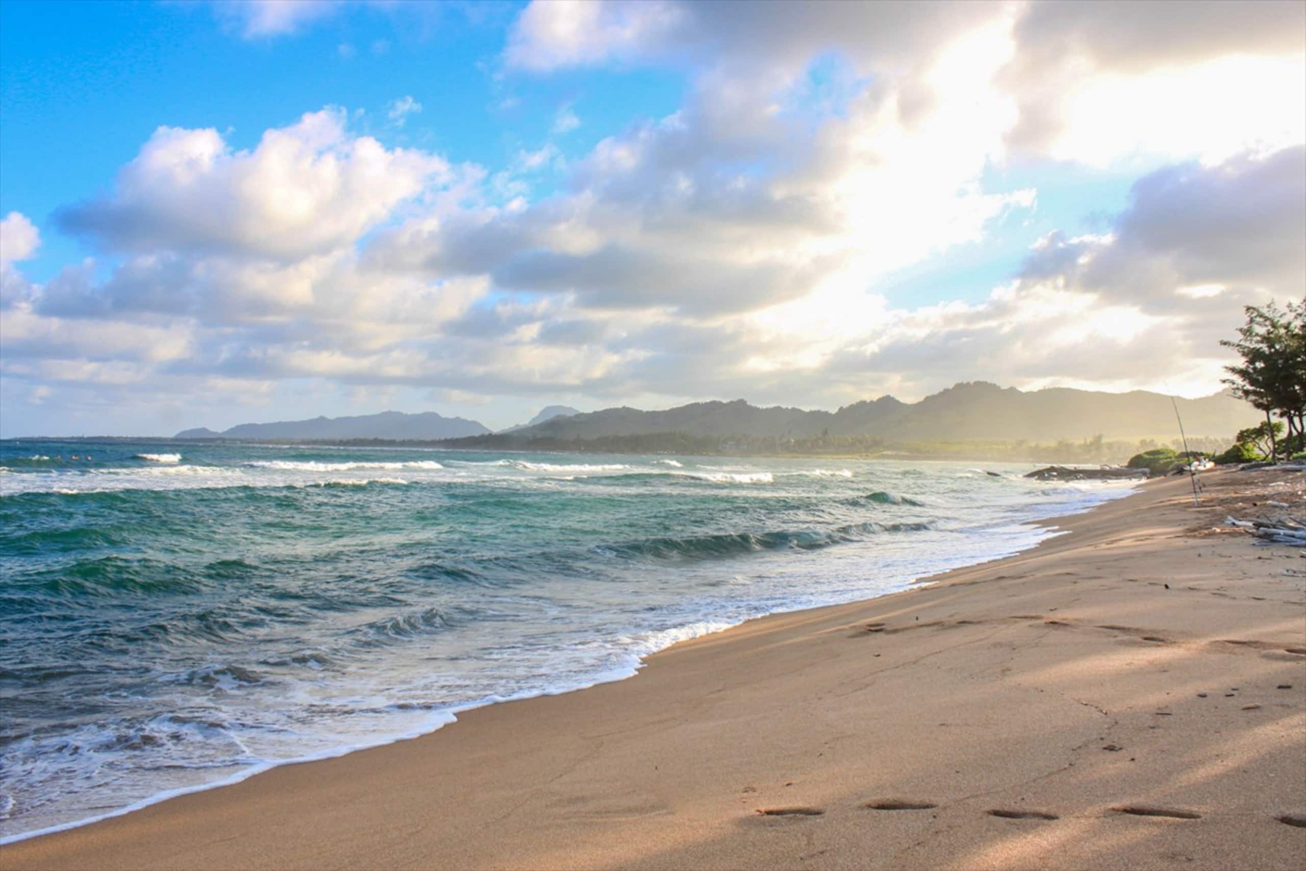 Stylish Kauai Condo on the Beach - Photo 41
