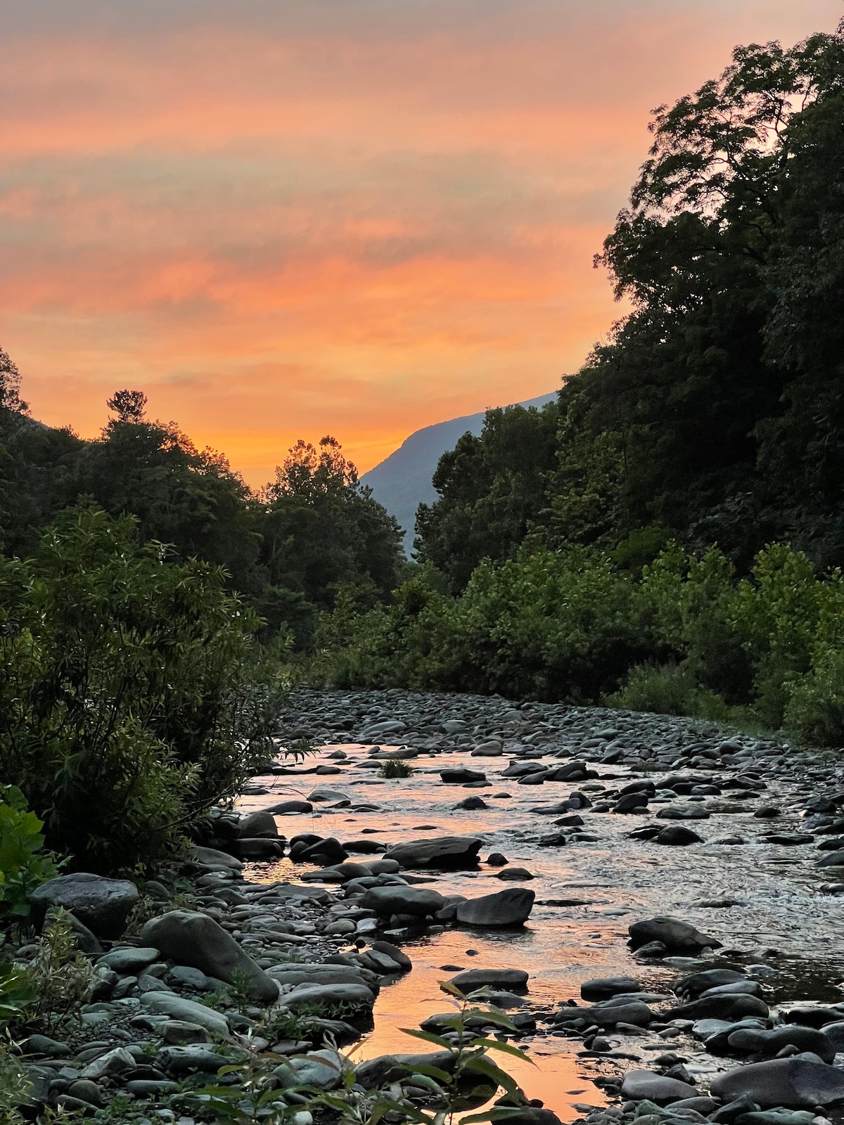A calm creek meanders through a rocky landscape, flanked by lush greenery. The sky above transitions into warm hues of orange and pink, reflecting softly on the water's surface. Surrounding trees and mountains are silhouetted against the vibrant backdrop.
