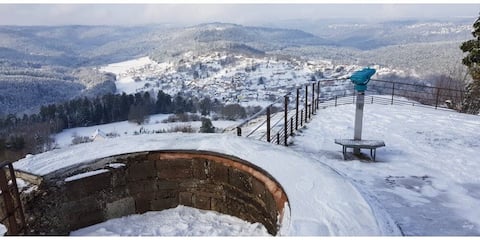 Annonce Airbnb populaire: *Cosy & Romantic Chalet * Terrace & Panorama * à Diocèse De Metz
