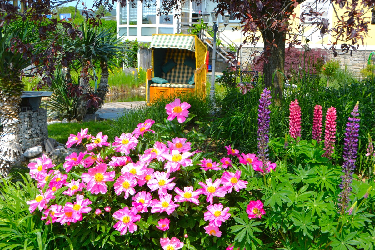 A vibrant garden scene features an array of pink and purple flowers surrounded by lush greenery. A cozy garden lounge chair is partially visible, providing a relaxing spot amid blooming plants. The backdrop includes a patio area and colorful vegetation, enhancing the overall natural setting.