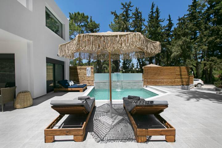 Dasýlio – earthy living gallery image 4