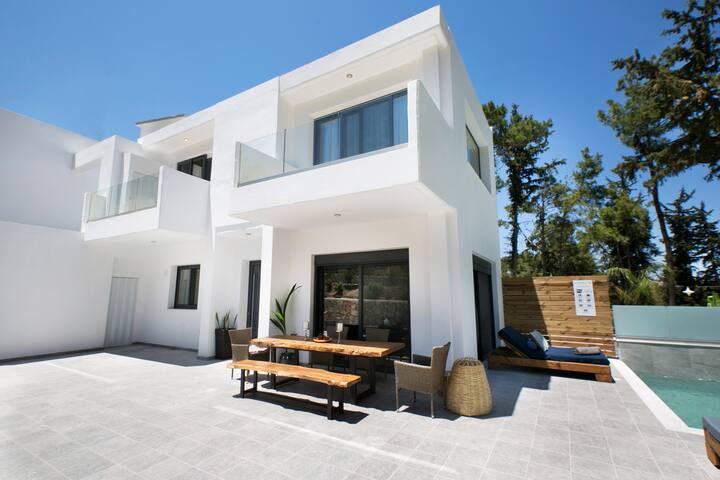 Dasýlio – earthy living gallery image 5