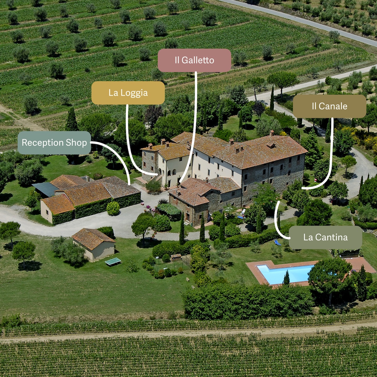 An aerial view of a rural agriturismo showcases multiple buildings set among lush green vineyards and olive groves. A sparkling pool is visible surrounded by greenery, with pathways connecting various sections like La Loggia and Il Galletto, enhancing the serene countryside ambiance.