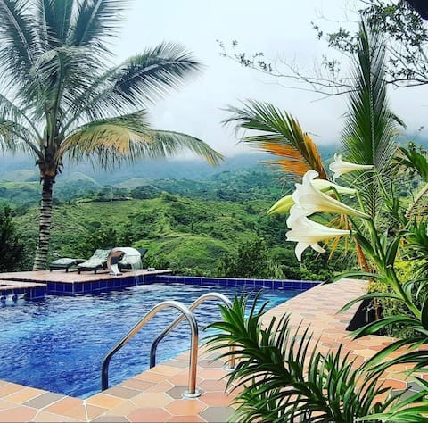 Villa Esperanza coffee shop estate and Catedral cabin