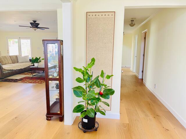 4 Bedrooms house near Stanford gallery image 3