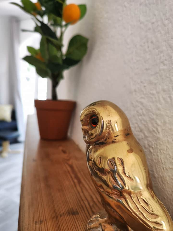 10 Best LongTerm Rentals In La Cala de Mijas, Spain Updated 2024