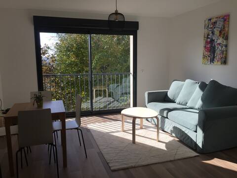 Beautiful apartment overlooking the Eiffel Tower
