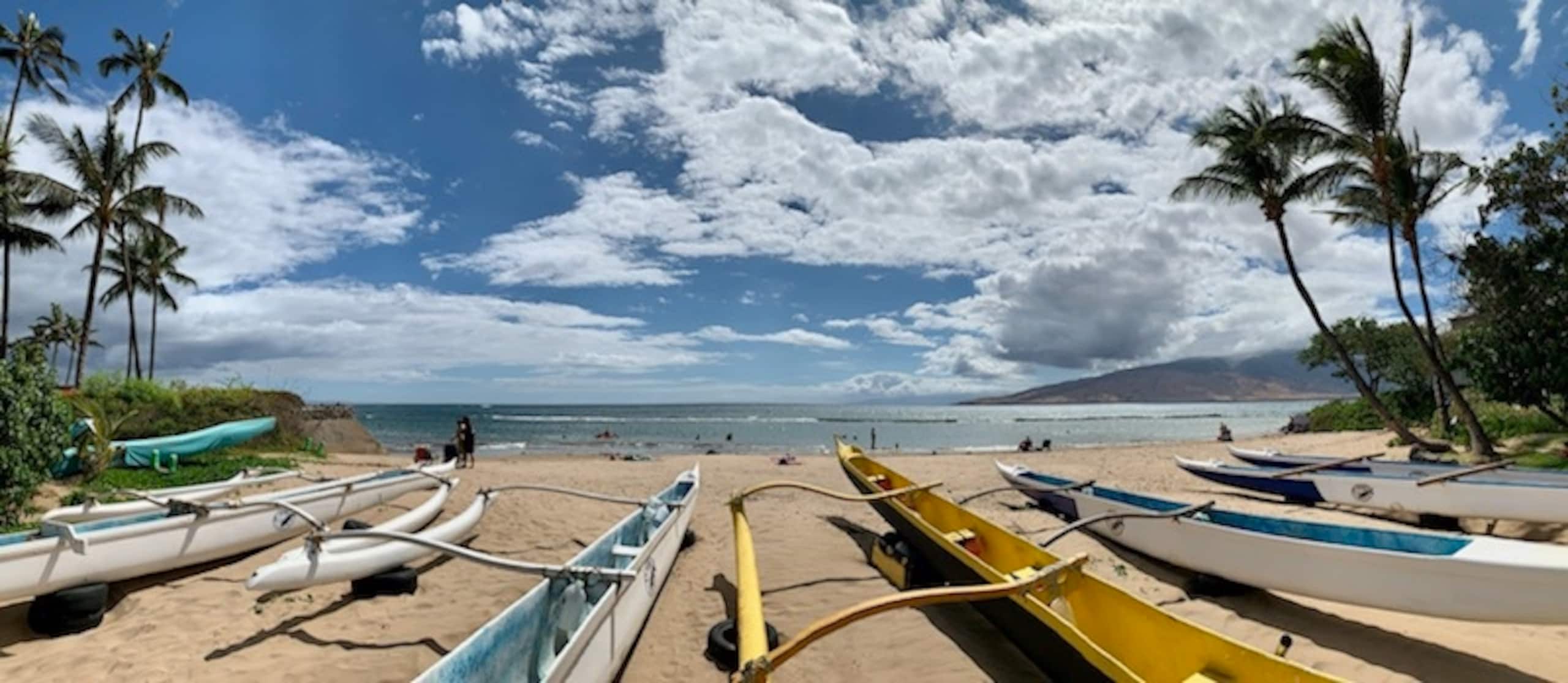 Condo in Kihei · ★4.96 · 2 bedrooms · 3 beds · 2 private baths - Image 17