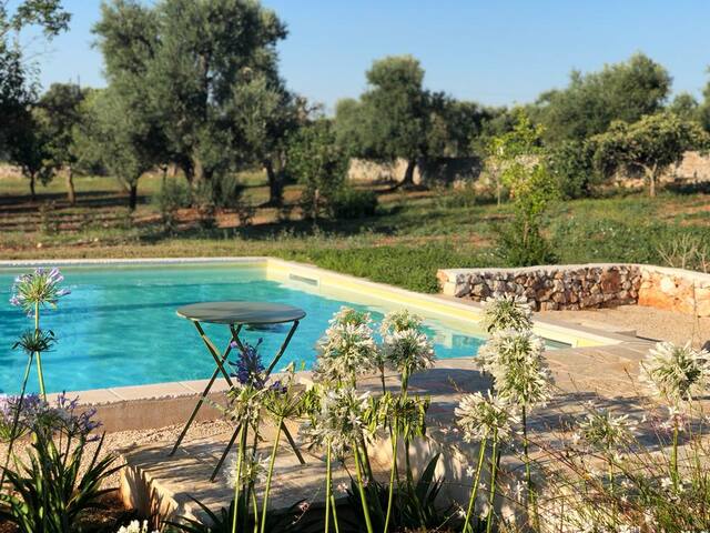 Villa con piscina “LàMìa Donnagnora” gallery image 3