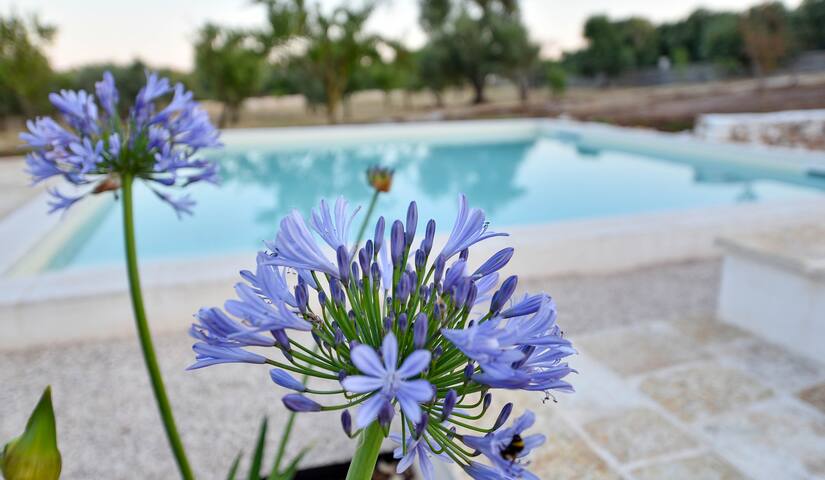 Villa con piscina “LàMìa Donnagnora” gallery image 5