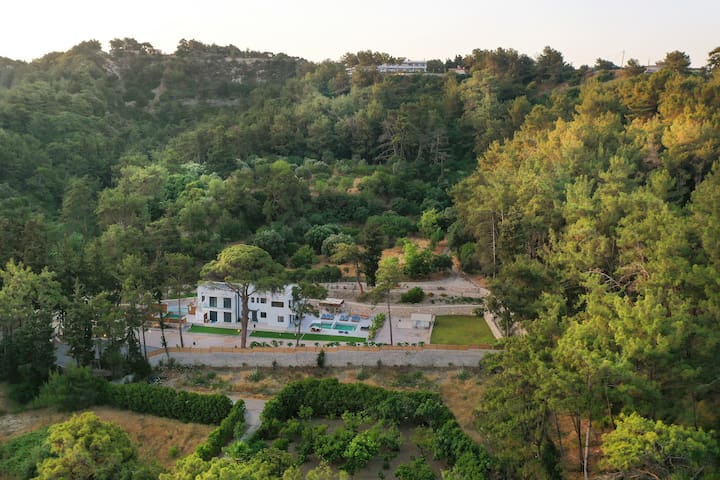 Dasýlio – earthy living rho