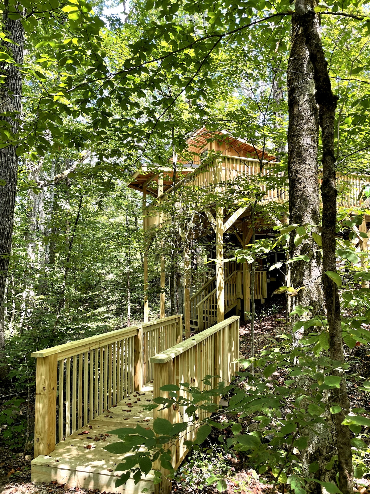 Walland Forests Treehouse Suite with Hot Tub Treehouses for Rent in