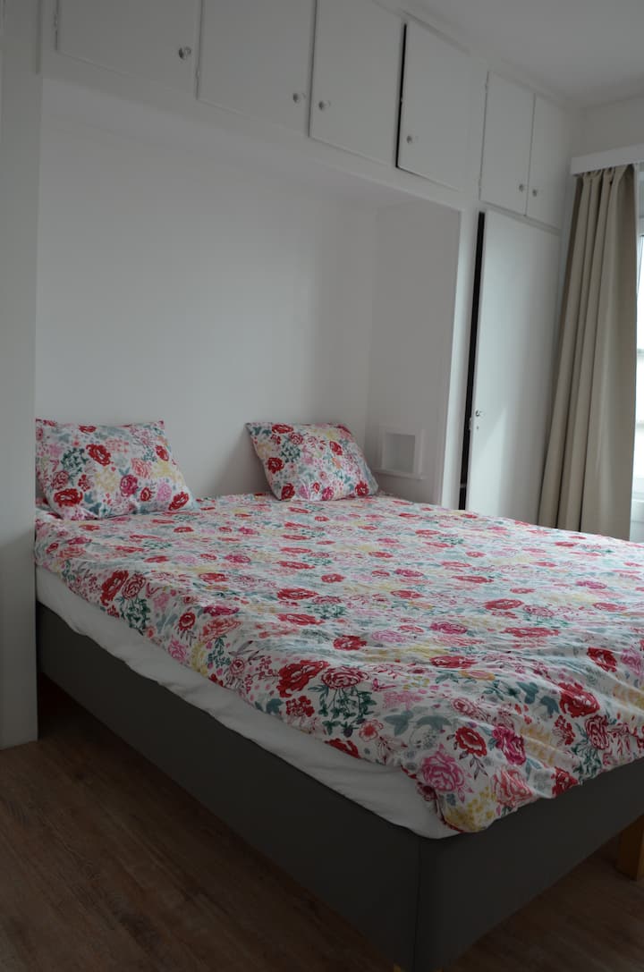 ٠٠/١٠-٠٠/١٣ جلسة 