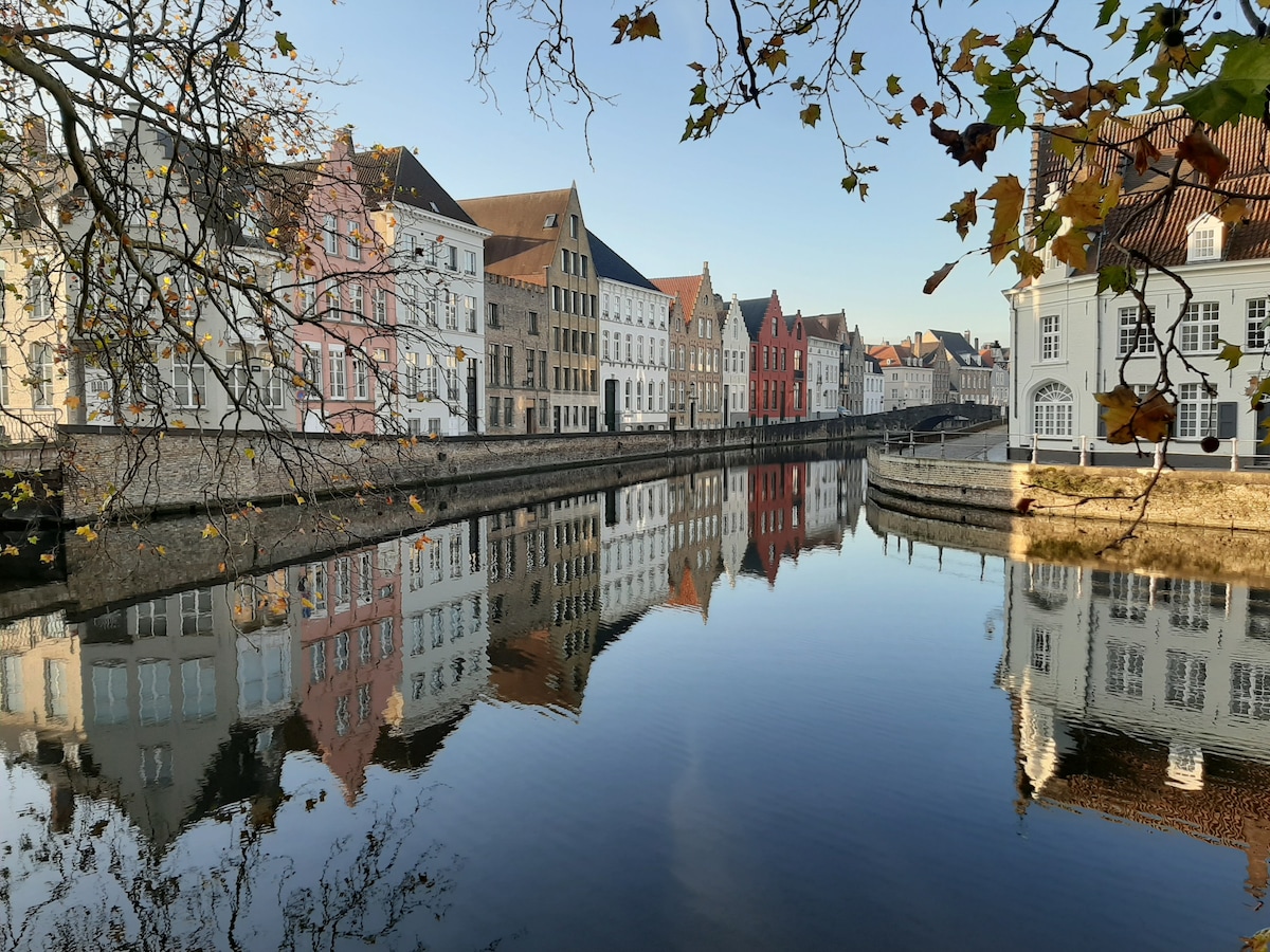 A calm canal reflects the colorful façades of historic buildings, showcasing hues of pink, red, and cream. Trees frame the scene, their leaves softly visible, while buildings line the water's edge, creating a serene visual symmetry.