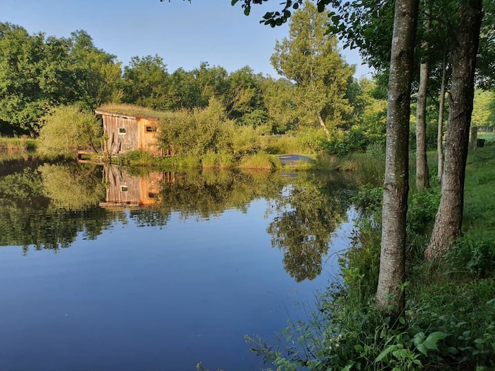 Ma Cabane en bois sur l'Etang
