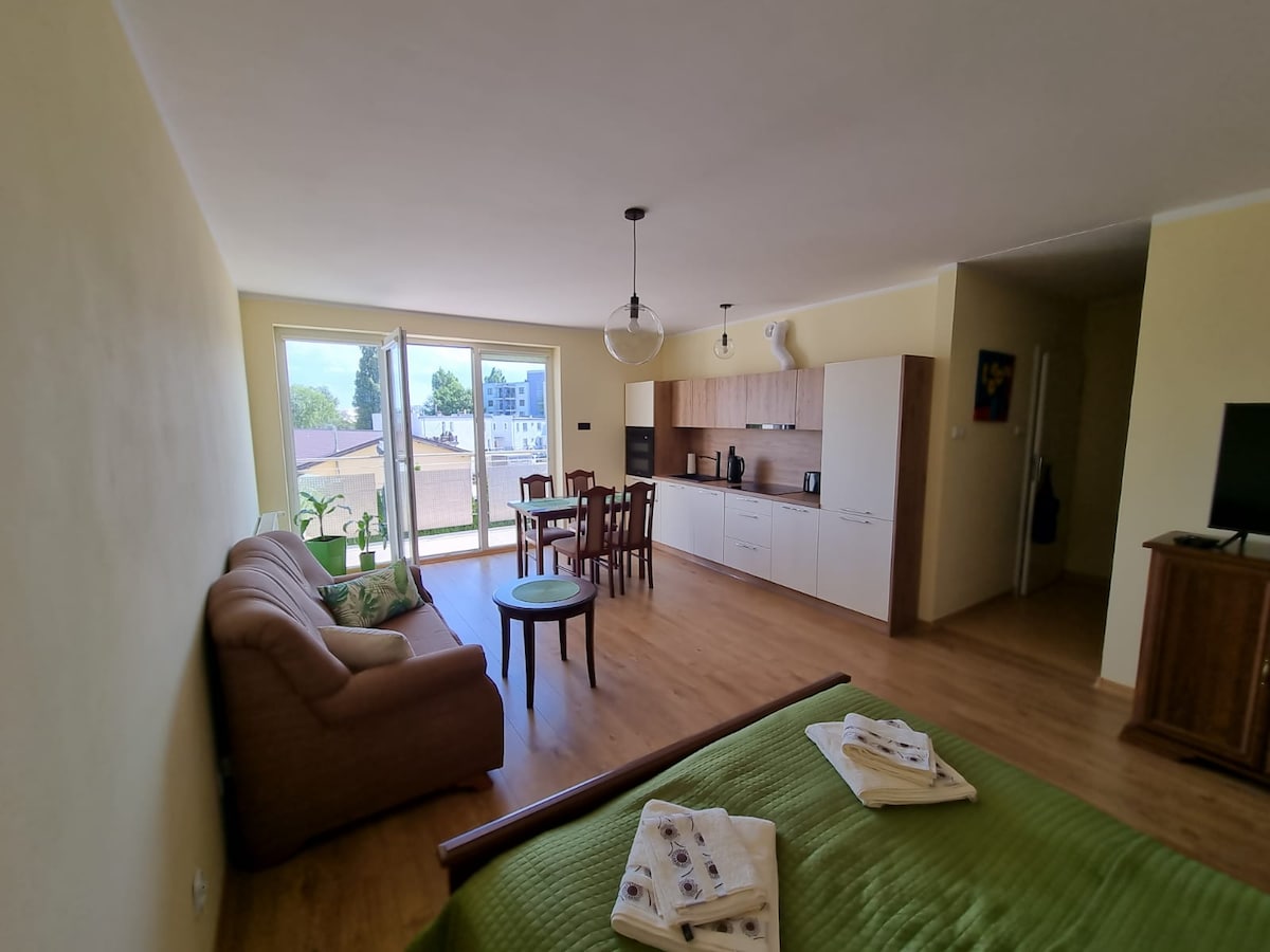 An open living space features a comfortable sofa and a small round table surrounded by chairs. A well-equipped kitchen is visible in the background. Large glass doors allow natural light to fill the room, leading out to an outdoor area.