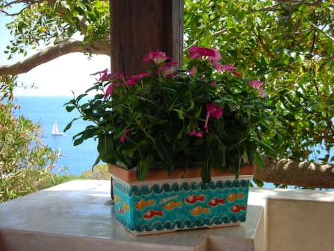 Annuncio Airbnb popolare: Oasi Lavinia. By the sea. Peace, relaxation, comfort a Pantelleria