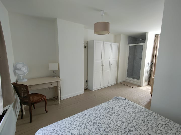 Bedroom with bathroom and toilet