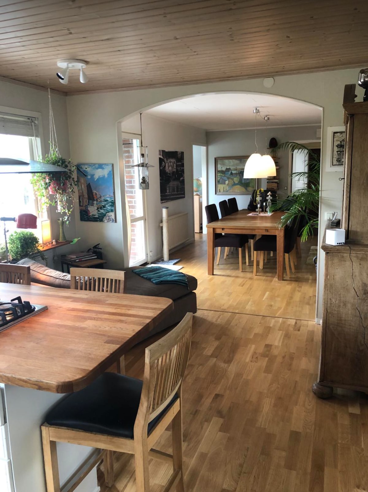 An open kitchen leads into the dining area, featuring a large wooden table that accommodates multiple guests. A cozy seating area with plants adds a touch of greenery, while the wooden ceiling and light-colored walls enhance the airy feel of the space.