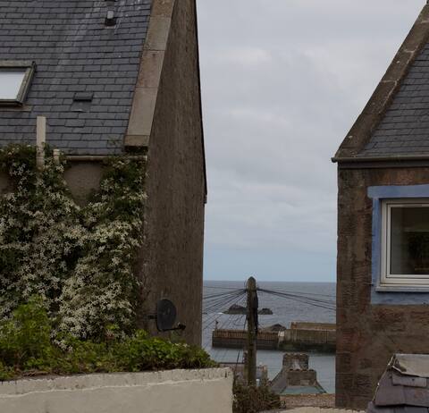 Wee Sea View