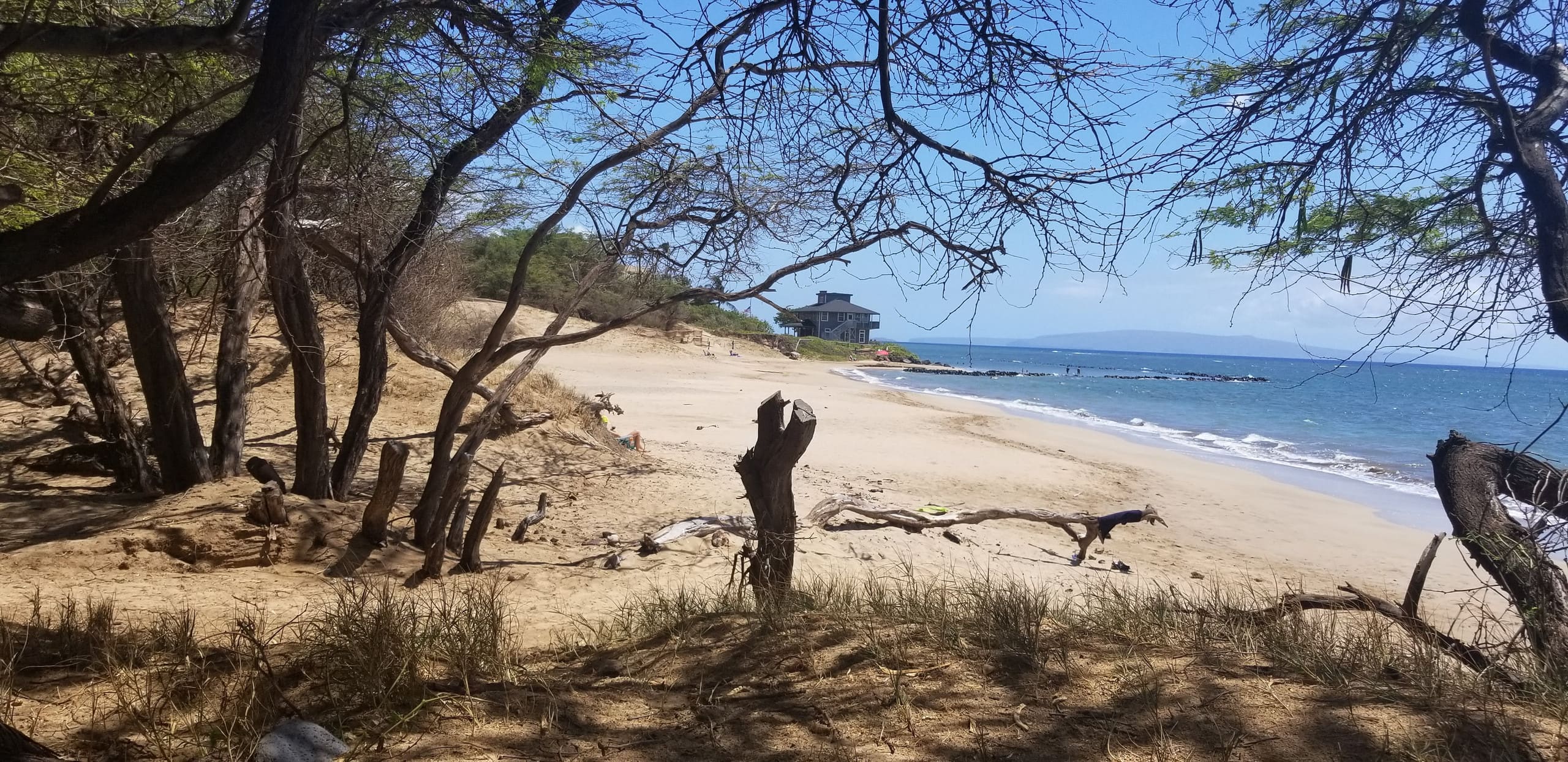 Condo in Kihei · ★4.94 · 1 bedroom · 2 beds · 1 private bath - Image 102