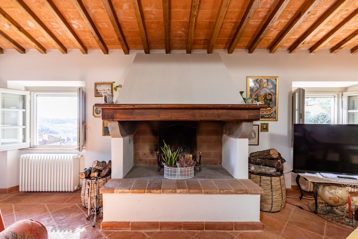 A spacious living area features a traditional stone fireplace with a wooden beam mantle. Decorative tiles line the floor, and light enters through two windows on either side. A potted plant adds a touch of greenery, while an elegant television is positioned nearby.