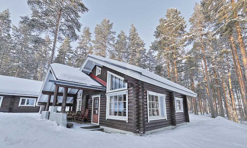 A modern wooden cabin is set among tall pine trees, with snow covering the ground. Large windows allow natural light to illuminate the inviting exterior. A covered porch provides a sheltered entrance, and snow accents the rustic charm of the cabin.