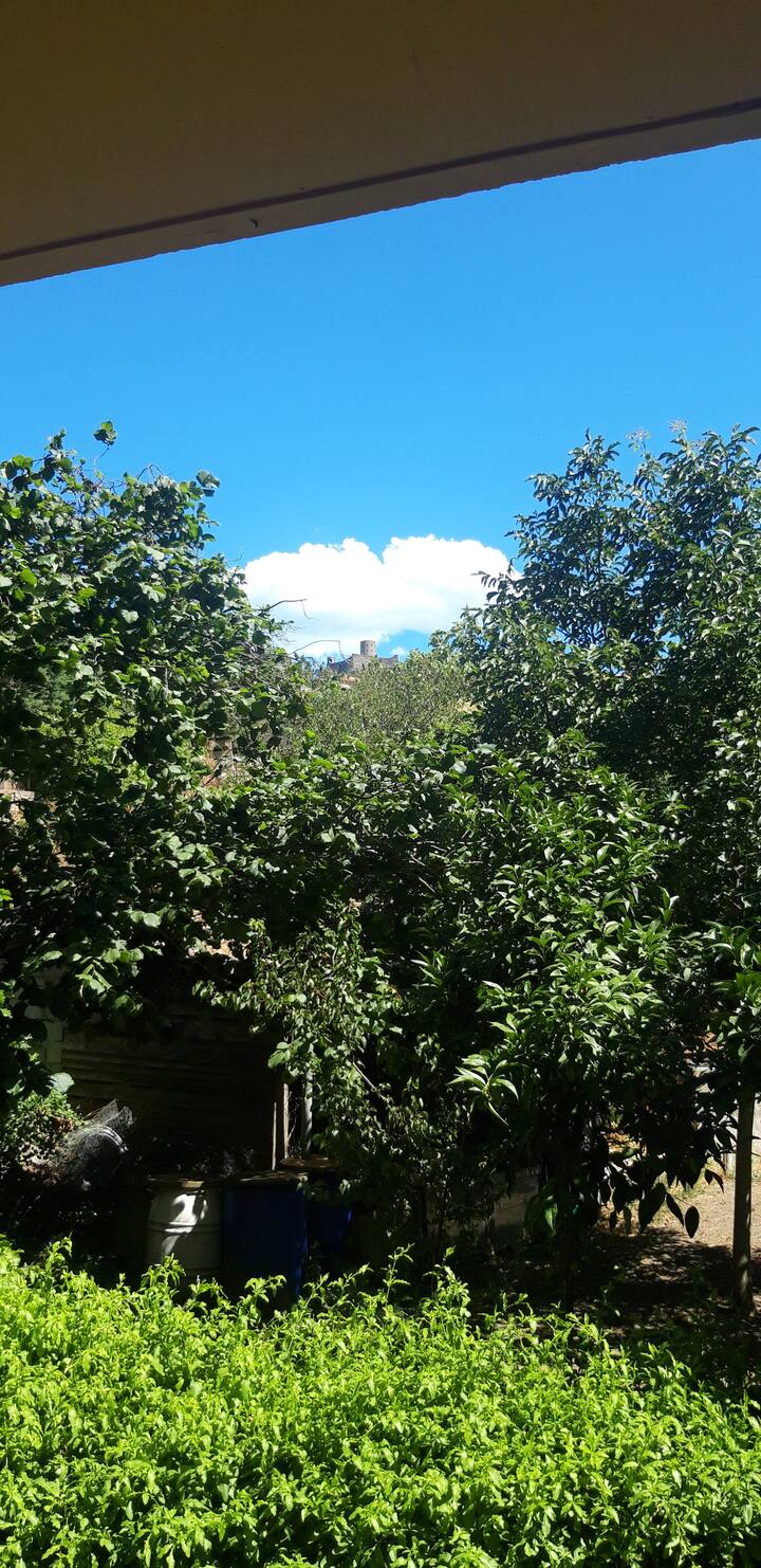 Collioure, ruhige 2 Schlafzimmer Strand 3min Wifi Klimaanlage Garage