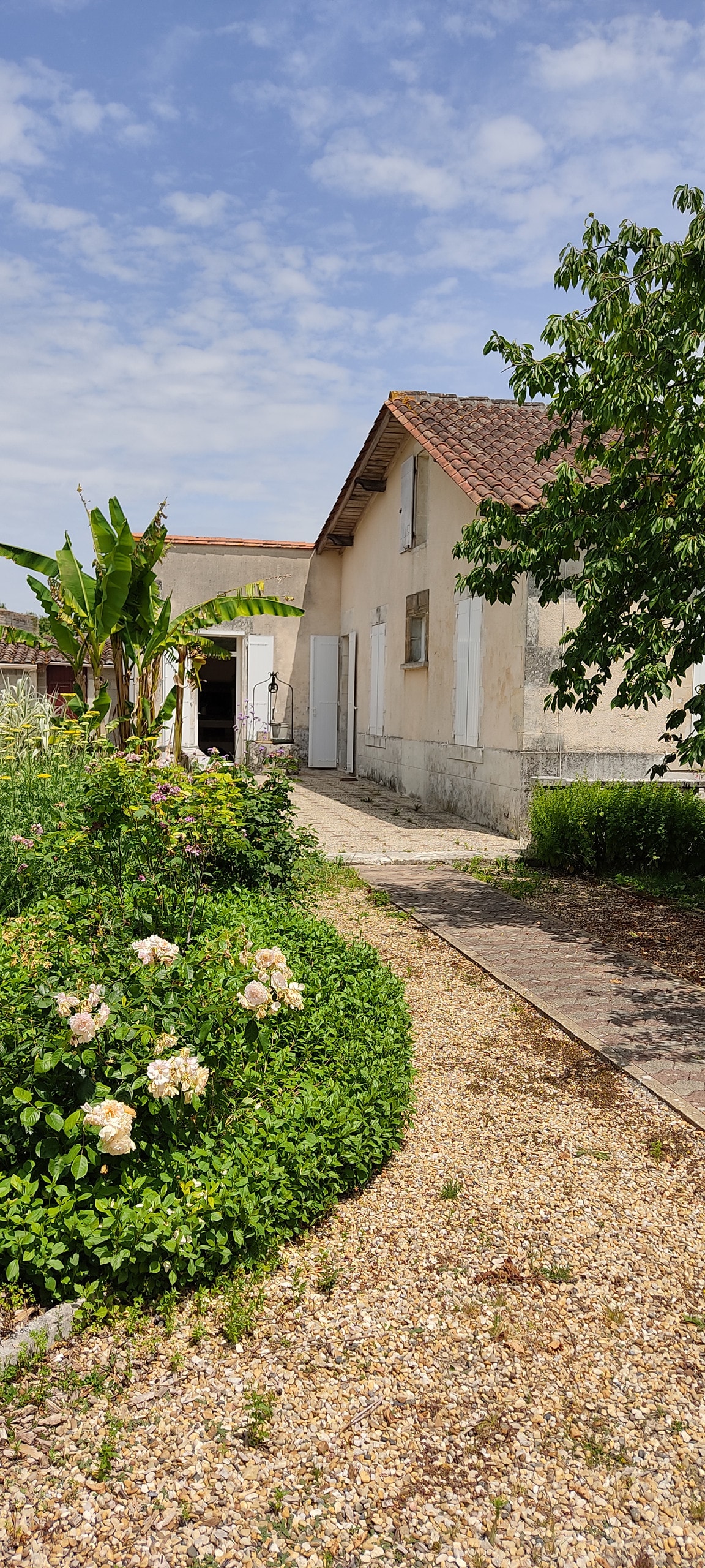 A pathway lined with gravel leads to the exterior of Villa Margo, bordered by lush greenery and blooming rose bushes. The house features a modest façade with several windows and a charming roof. Tropical plants add to the inviting garden ambiance.