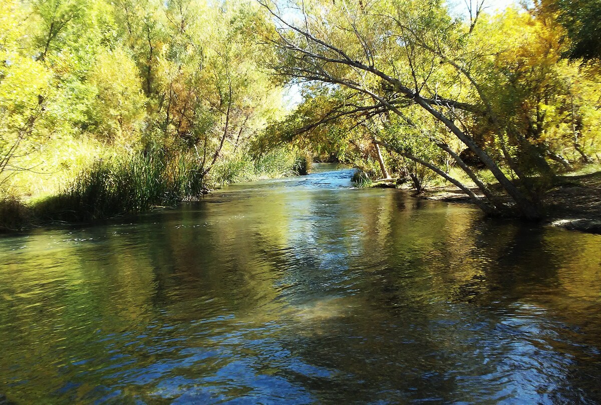 A serene river flows gently through a wooded area, flanked by trees displaying vibrant autumn foliage. The sunlight reflects off the calm water, creating a picturesque scene of peace and natural beauty.