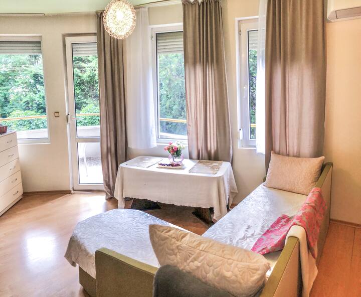 1 bedroom apart, free parking area near sea park Apartments for Rent