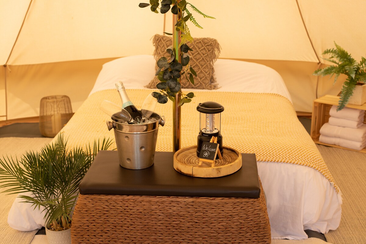 A sunlit interior of a bell tent showcases a spacious bed adorned with a textured blanket. A wicker table holds a chilled bottle of champagne and a lantern, surrounded by greenery. Soft lighting enhances the relaxed ambiance of the space.