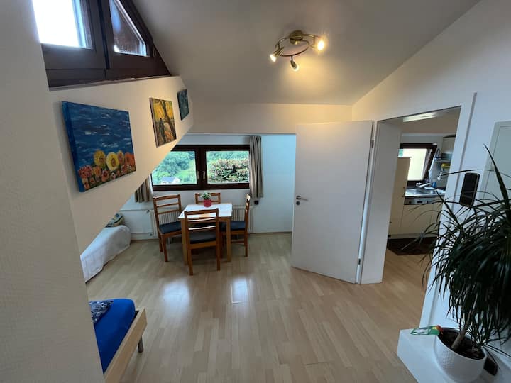 Schöne Dachgeschoss Ferienwohnung, Mit Ausblick - Heidelberg