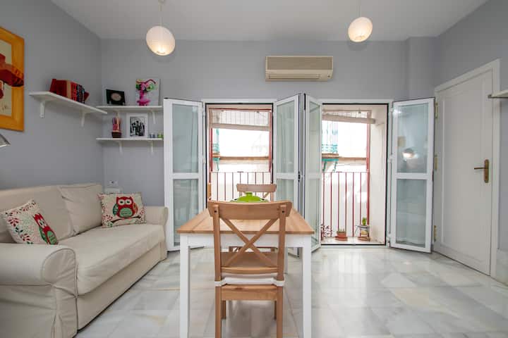 Superb Location- Quiet And Comfortable - A/c-wifi - Séville
