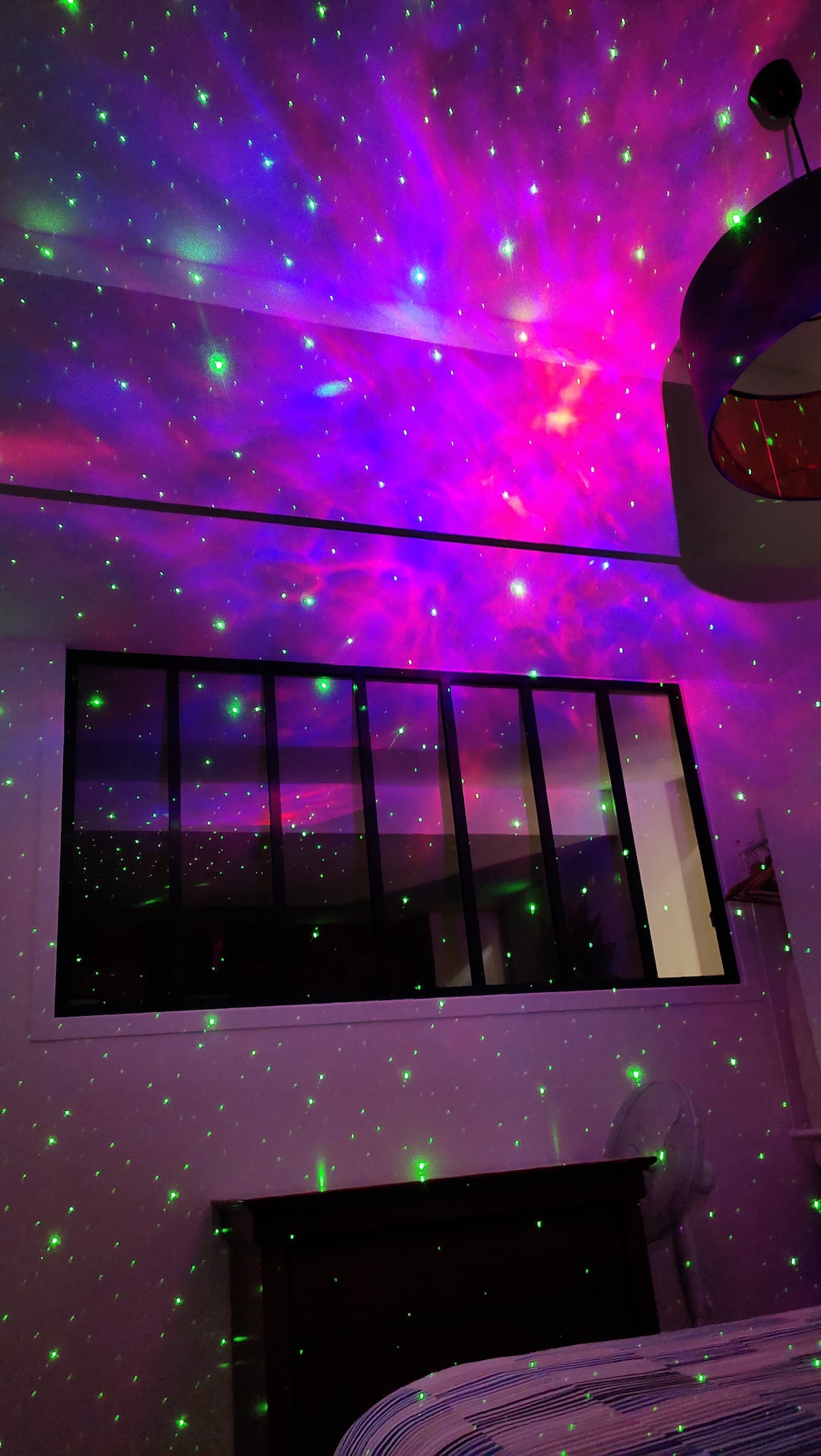 Colorful lights create a dynamic visual effect on the ceiling, featuring a mix of purple and green hues. A large window is visible in the background, allowing natural light to flow into the room. The overall arrangement offers an engaging ambiance.