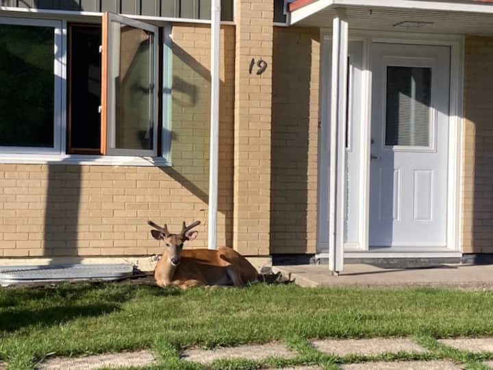 Lac du Vacation Rentals & Homes Manitoba, Canada Airbnb