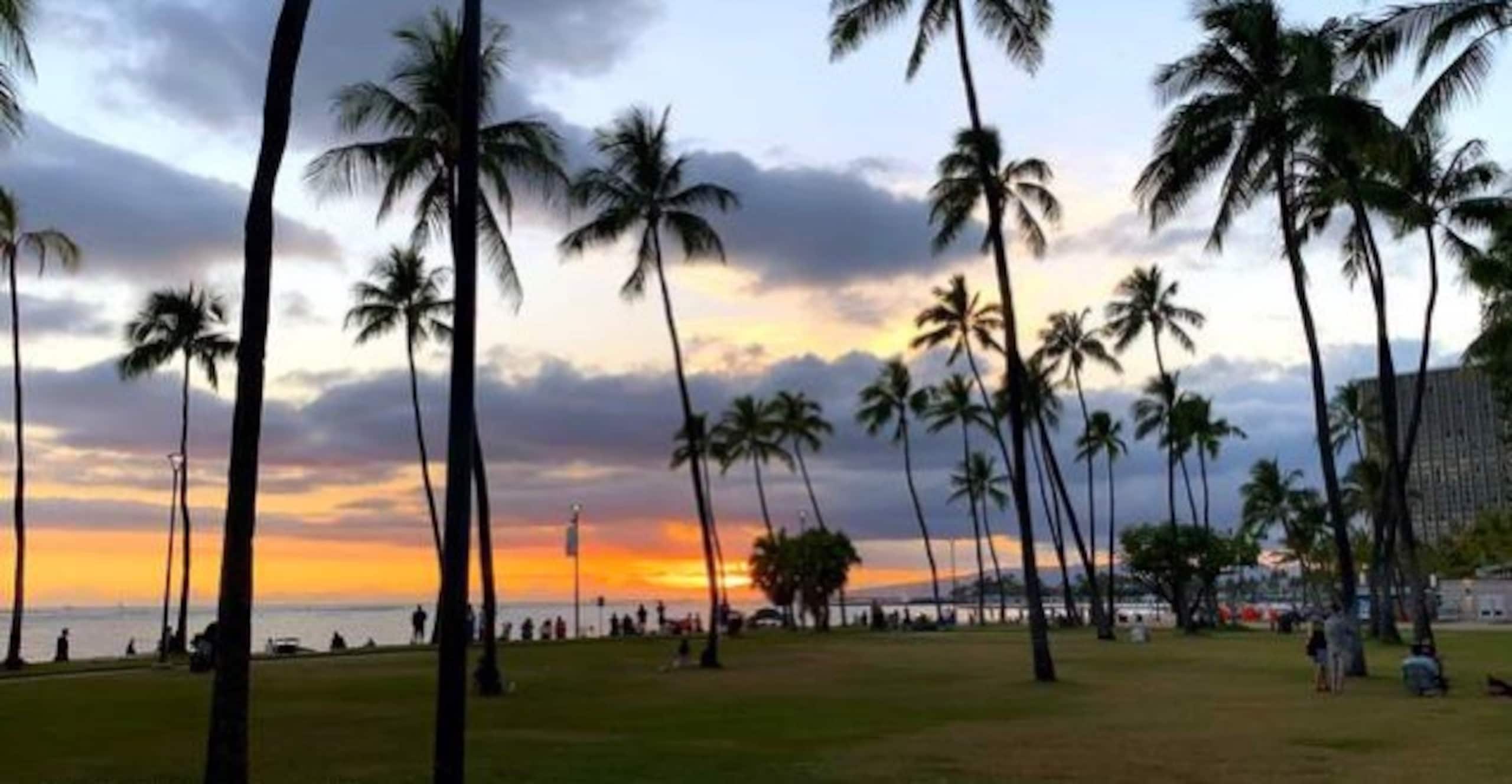 1/1 Condo w/lanai 7min walk to beach 24/7security - Image 14