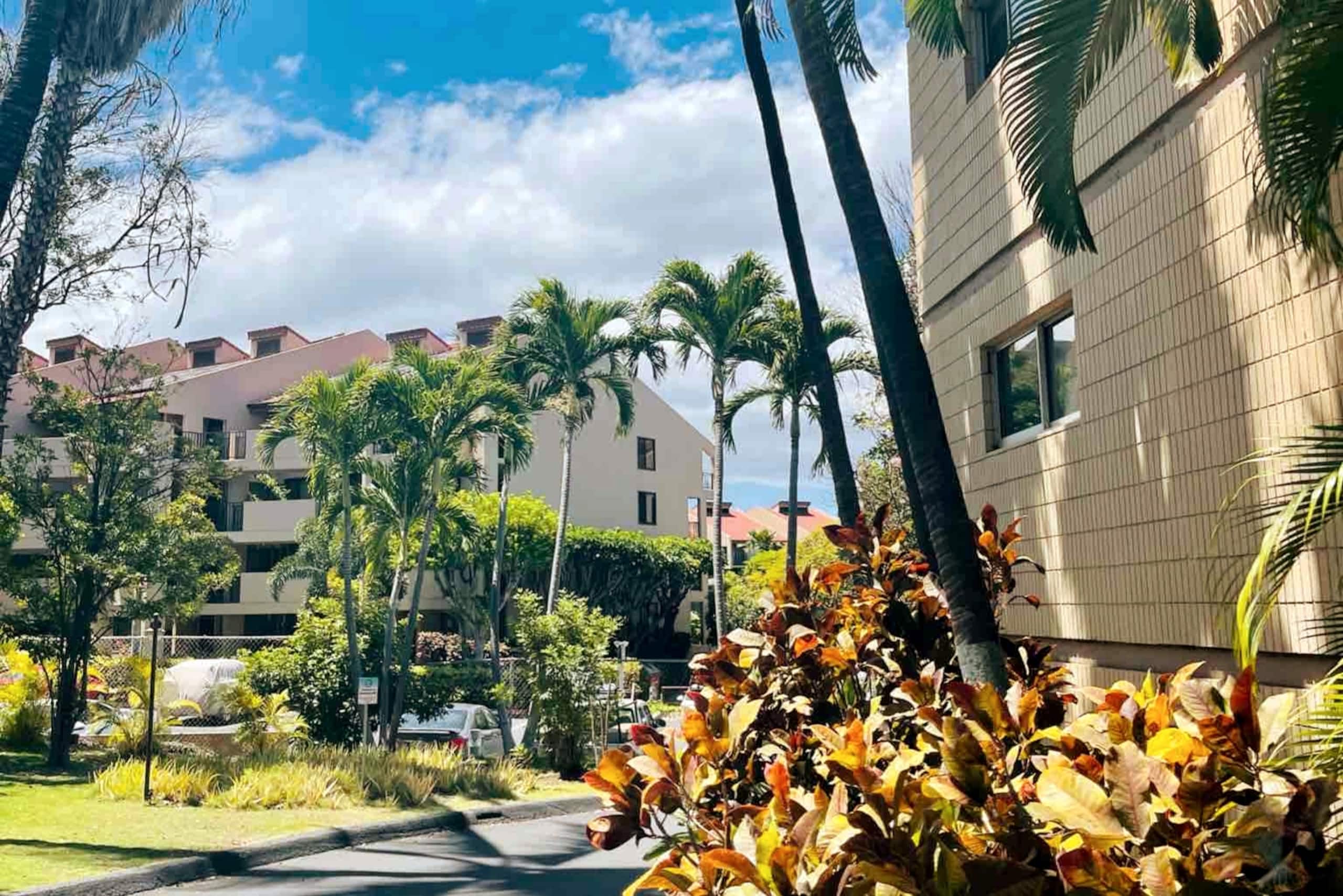 Condo in Kihei · ★4.83 · 2 bedrooms · 5 beds · 2 baths - Image 42