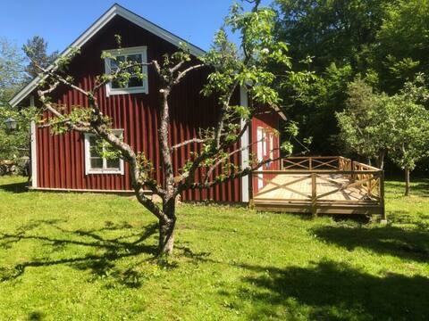 The waves - a nice cottage!