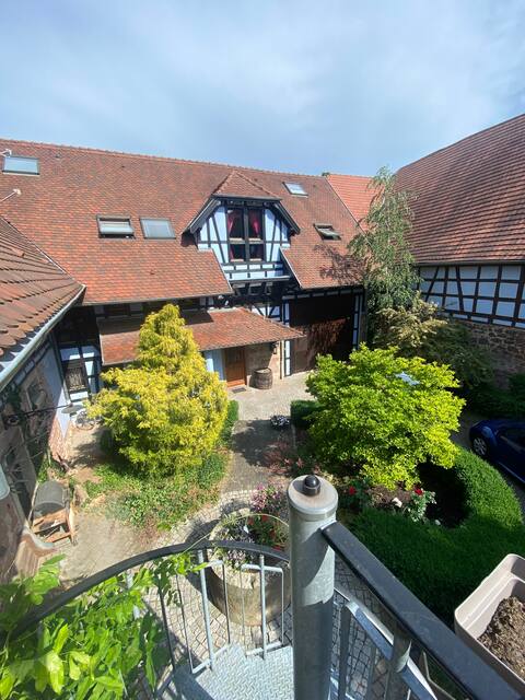 Near Strasbourg: Farmhouse apartment
