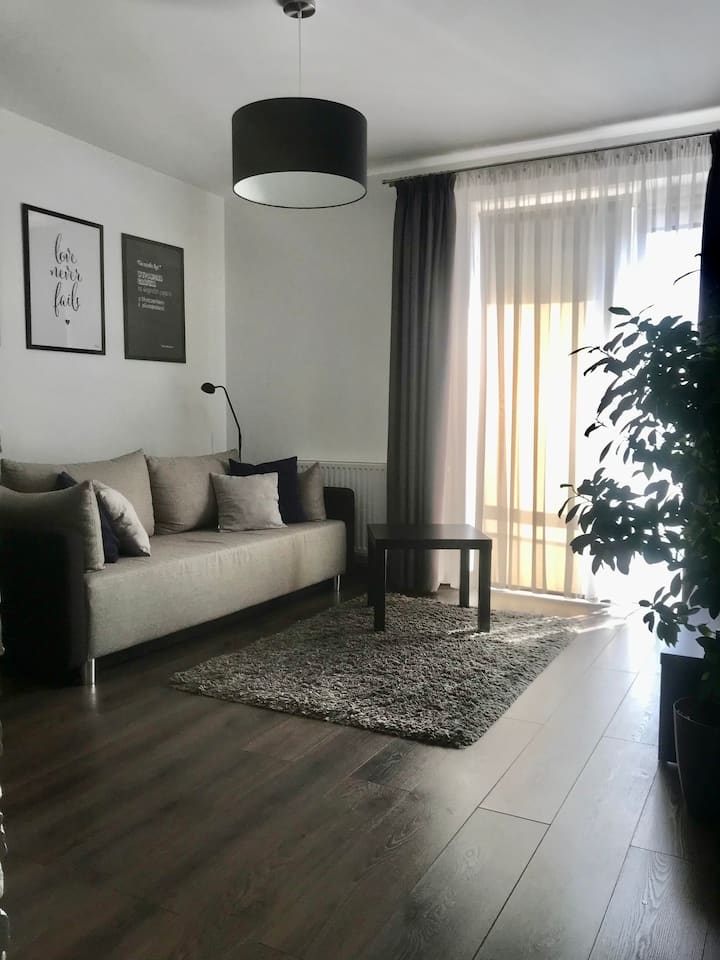 Entire apartment on the Vistula River Lofts for Rent in Rzeszów