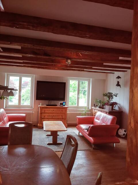 Recreation in the beautiful small town of Glarus