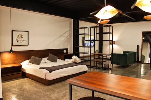Airbnb con mejor rendimiento: Platinum loft in a great location! en San Luis Potosí