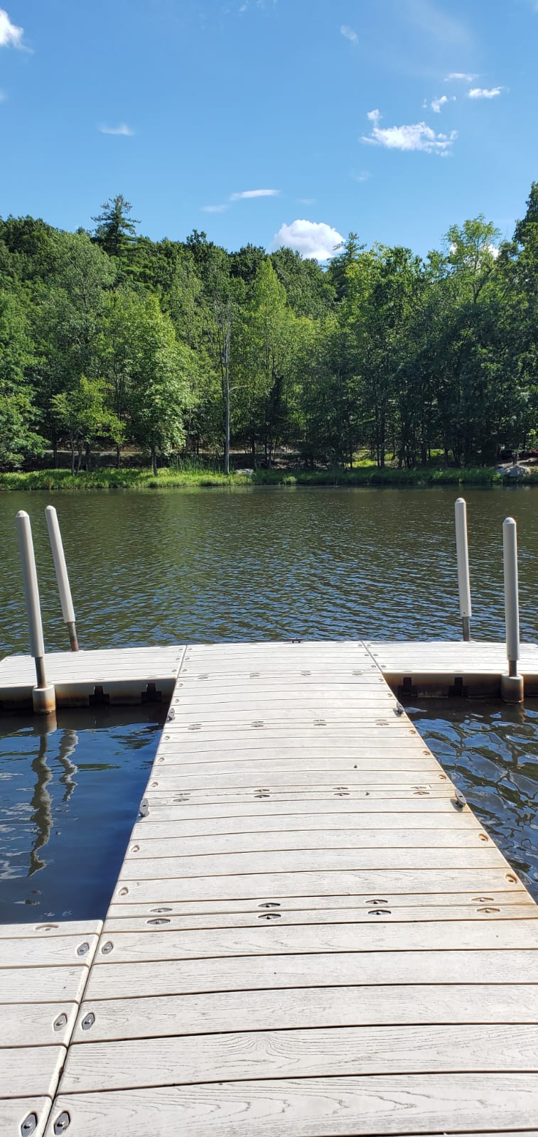 A wooden dock extends over the lake, framed by lush green trees and a clear blue sky. The calm water reflects the natural surroundings, creating a serene atmosphere for relaxation and outdoor enjoyment.