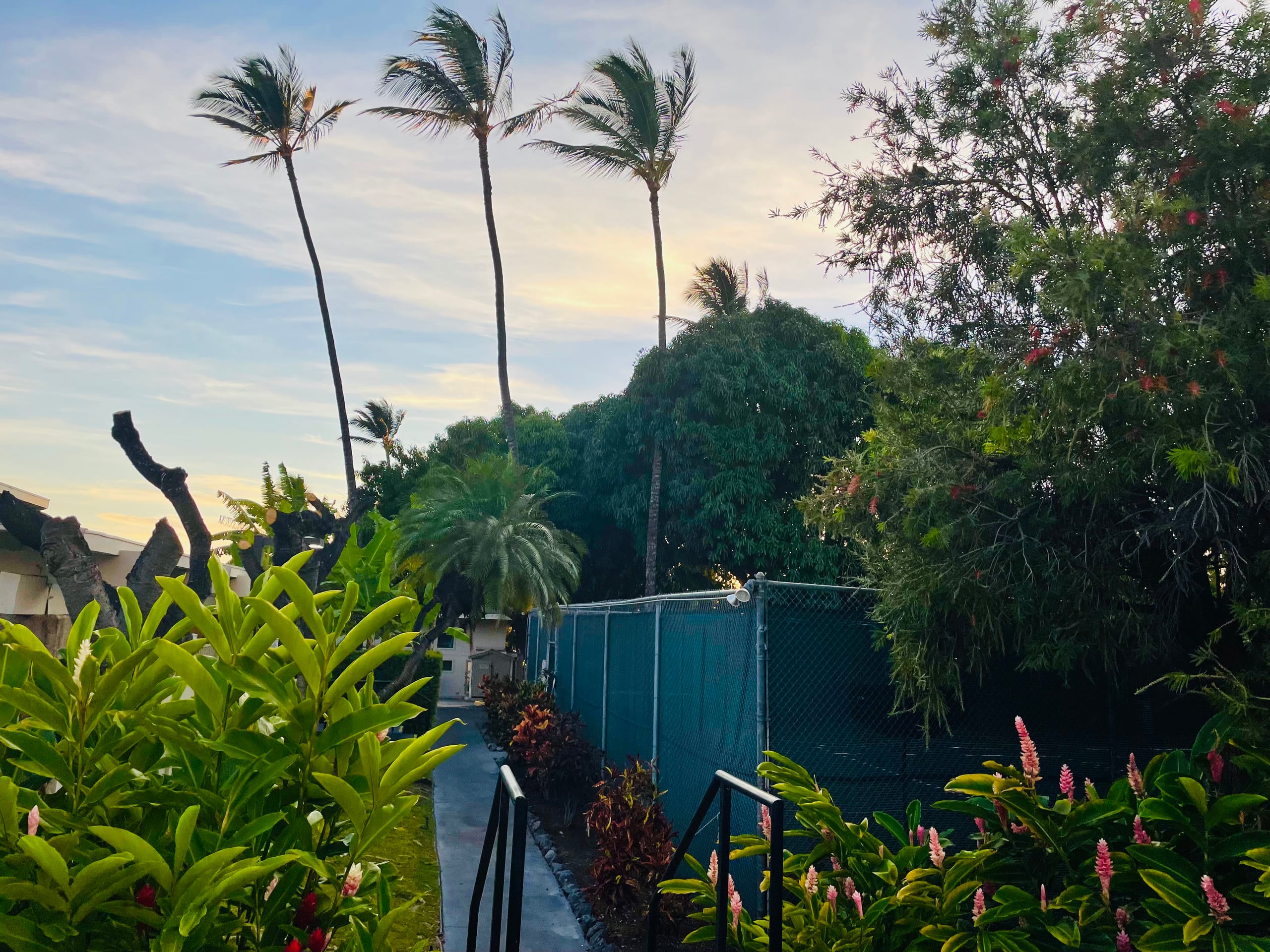 Condo in Kihei · ★4.84 · 1 bedroom · 2 beds · 1 private bath - Image 33