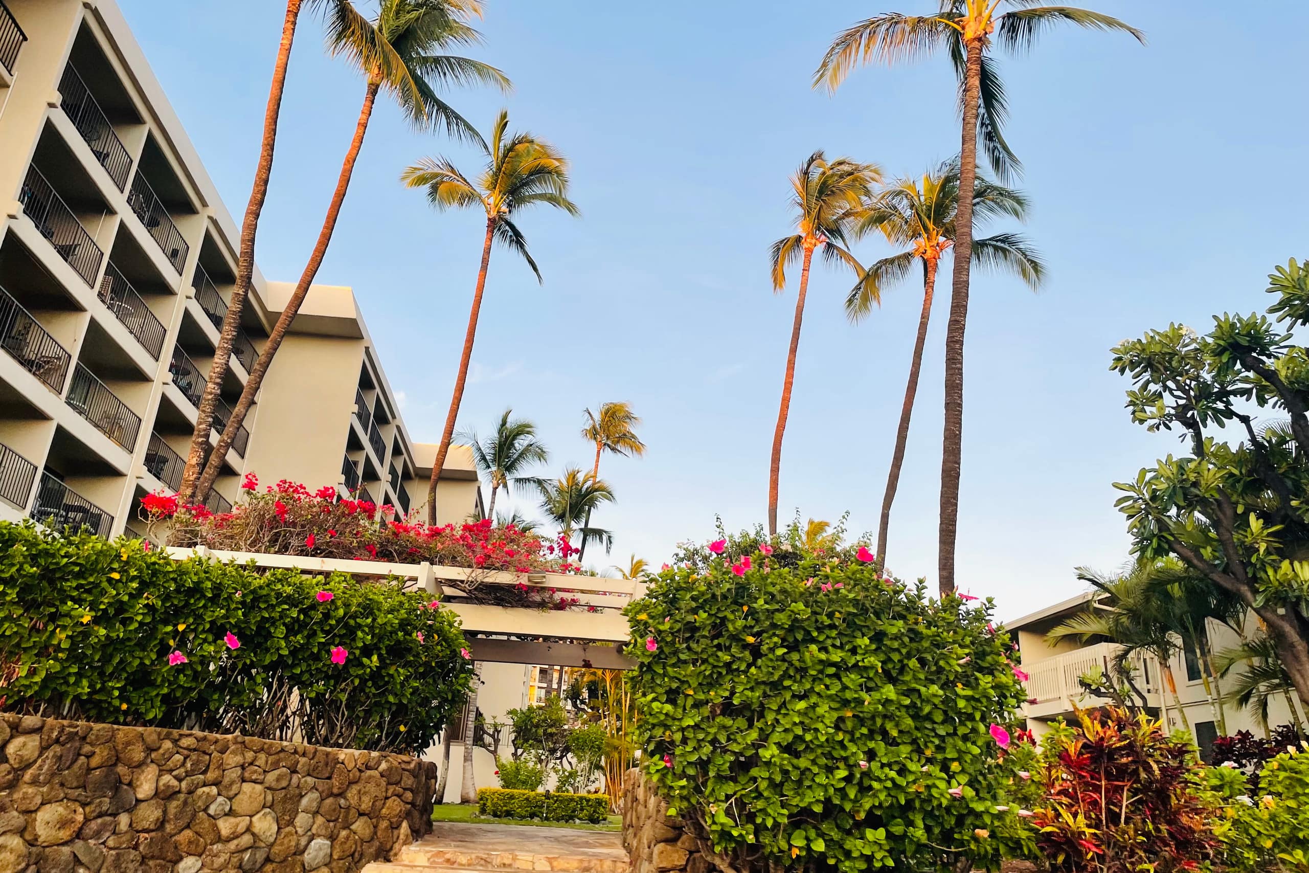 Condo in Kihei · ★4.84 · 1 bedroom · 2 beds · 1 private bath - Image 38