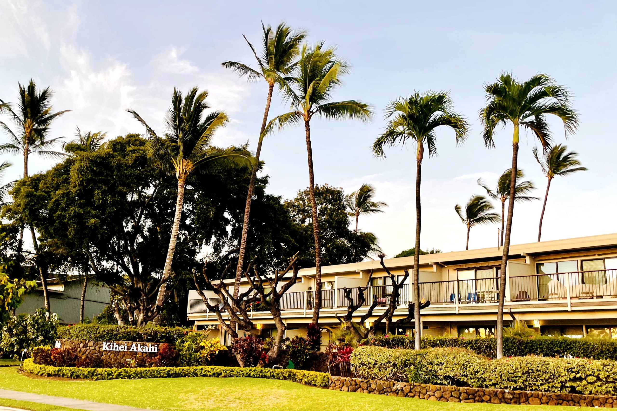 Condo in Kihei · ★4.84 · 1 bedroom · 2 beds · 1 private bath - Image 35