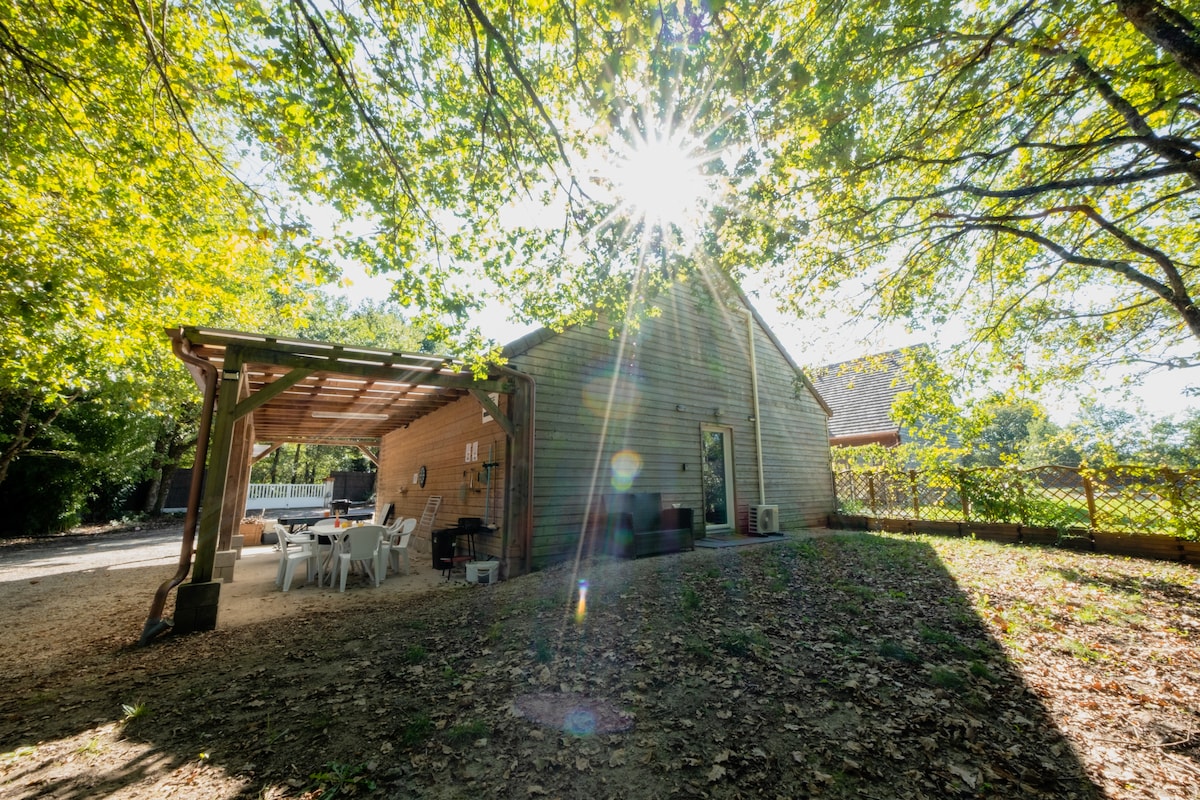 A wooden structure is enveloped by lush greenery, with sunlight filtering through the trees. A shaded outdoor space features a dining area with multiple chairs and a picnic table, creating a serene environment for relaxation and meals.